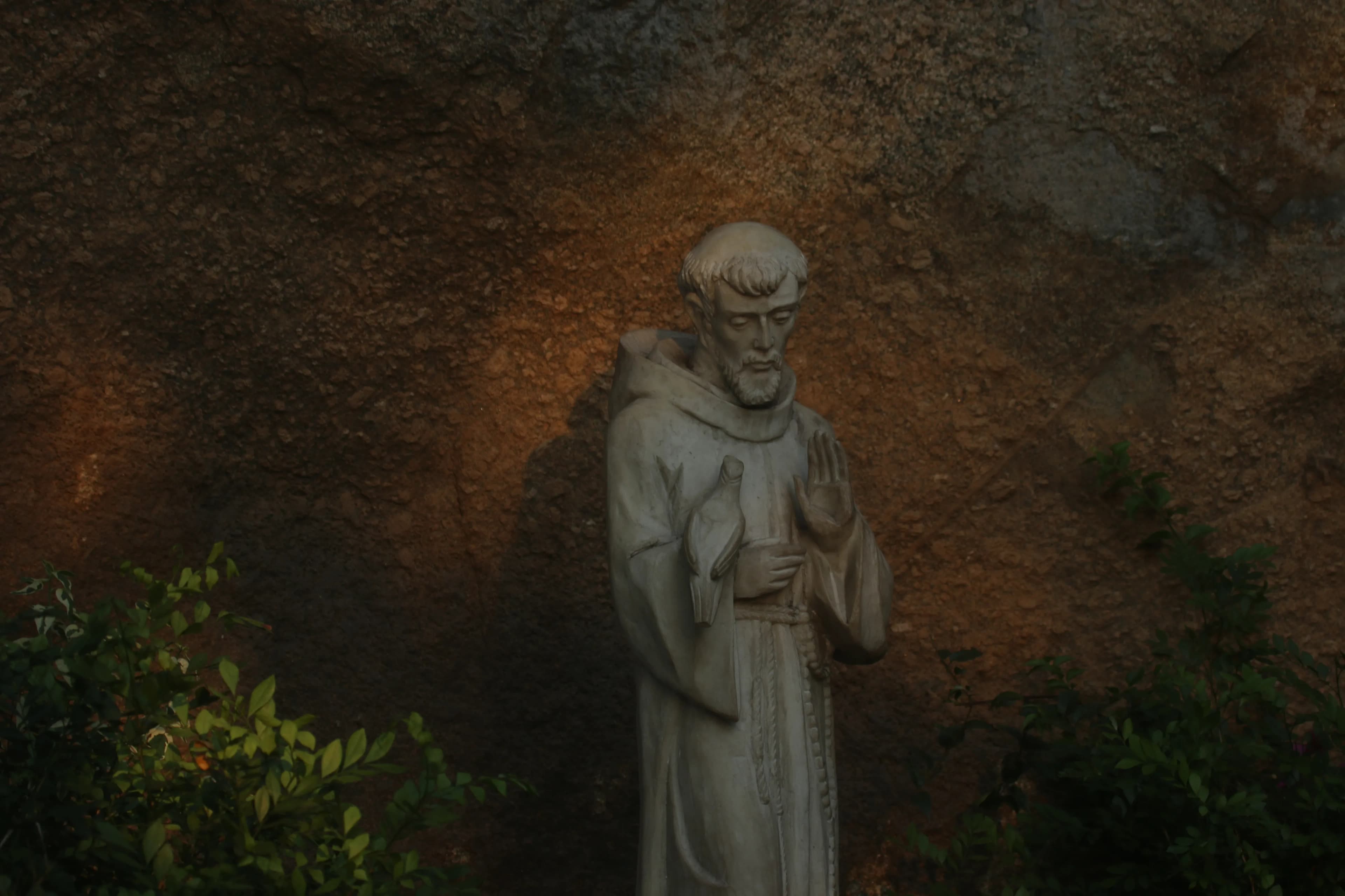 Francisco de Asís